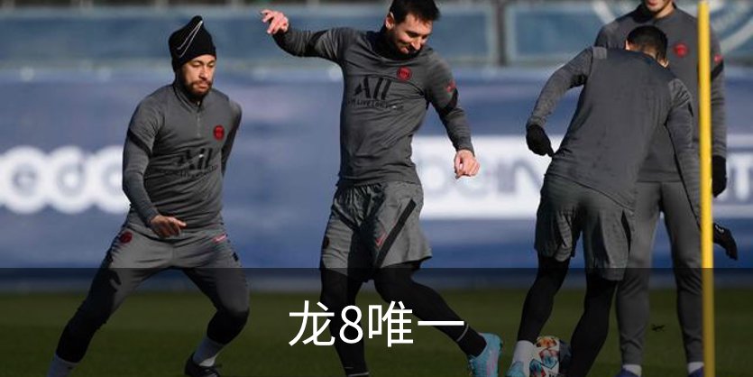龙8唯一简介